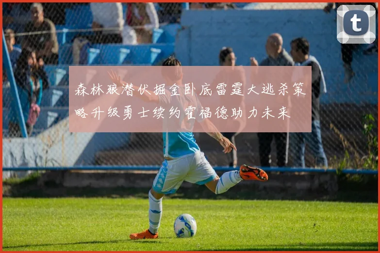 森林狼潜伏掘金卧底雷霆大逃杀策略升级勇士续约霍福德助力未来